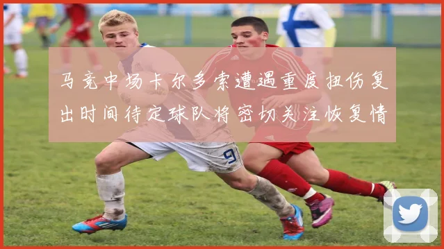 马竞中场卡尔多索遭遇重度扭伤复出时间待定球队将密切关注恢复情况