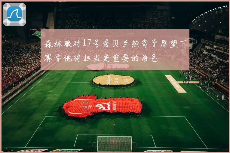 森林狼对17号秀贝兰热寄予厚望下赛季他将担当更重要的角色